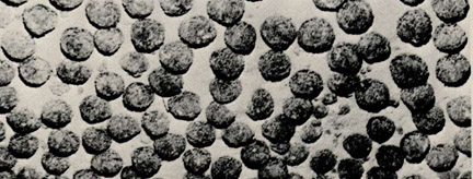 Ferromanganese Nodules