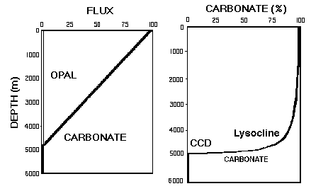 Carbonate Concentration in Core 
Tops Versus Depth