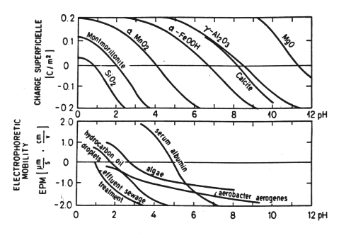 surface charges as function of pH