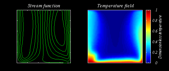 2-D convection animation