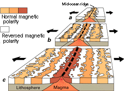schematic representation of magnetic lineations of the ocean floor