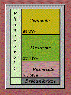 Geologic Time 1