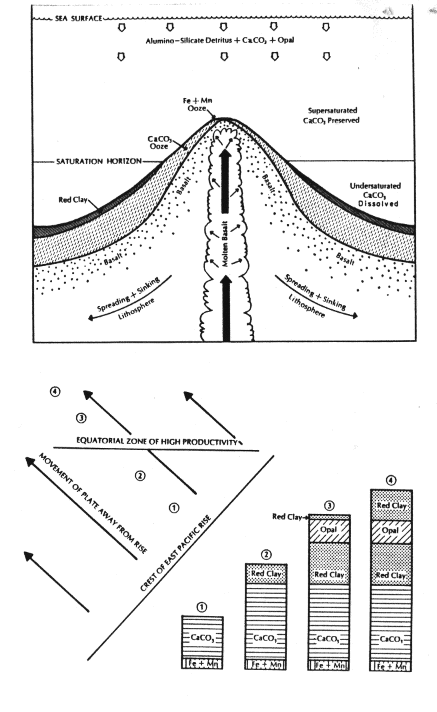 development of sedimentary sequence on a
moving plate